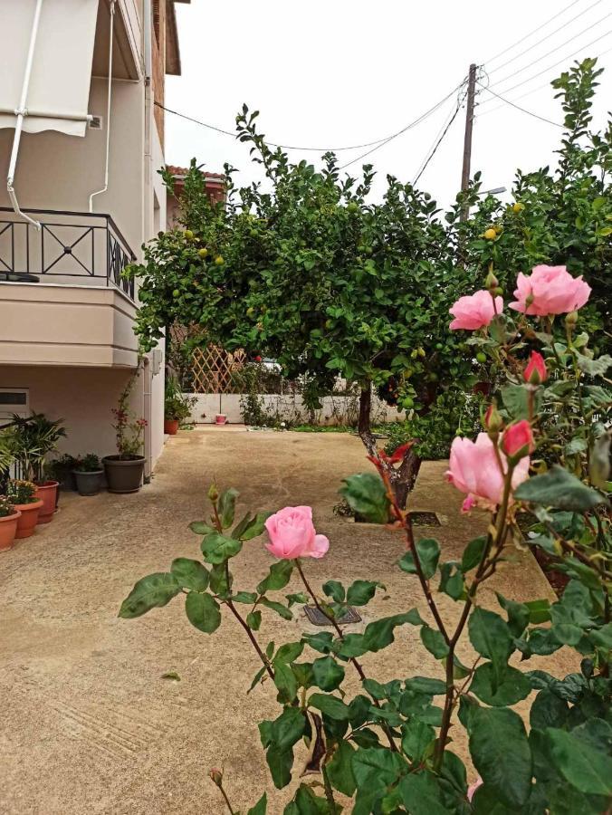 דירות מיתיקאס Agathi'S House מראה חיצוני תמונה