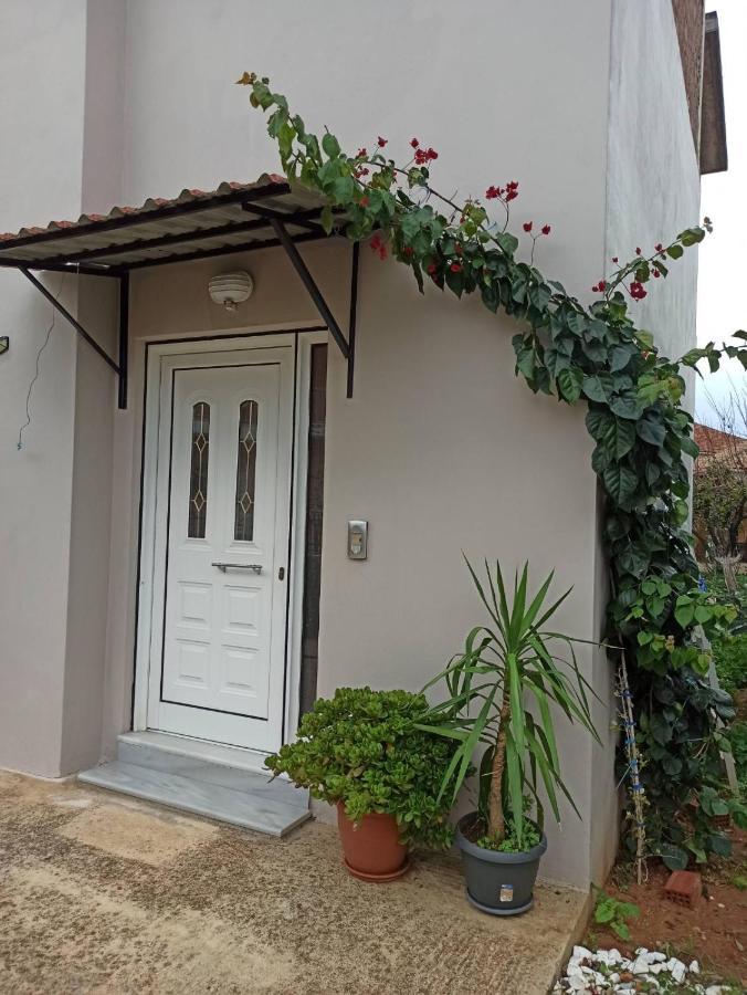 דירות מיתיקאס Agathi'S House מראה חיצוני תמונה
