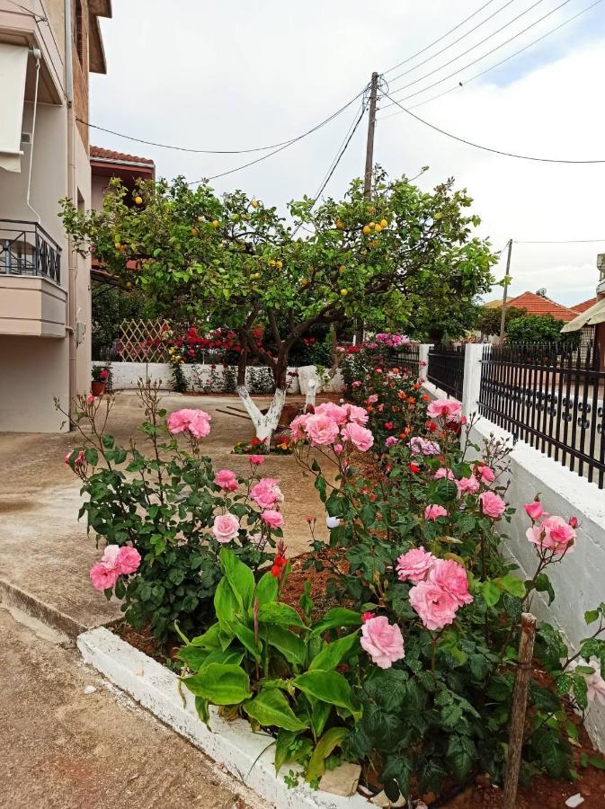 דירות מיתיקאס Agathi'S House מראה חיצוני תמונה